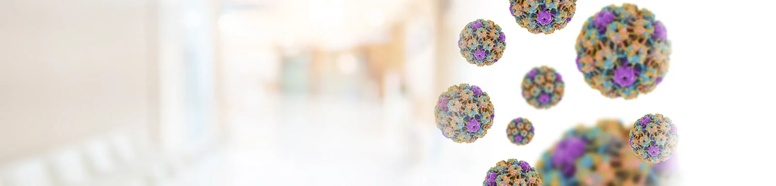 HPV (Human Papillomavirus) Test